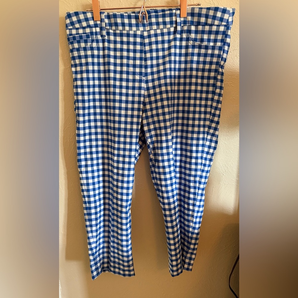Zac & Rachel Blue and White Ankle Gingham Pants